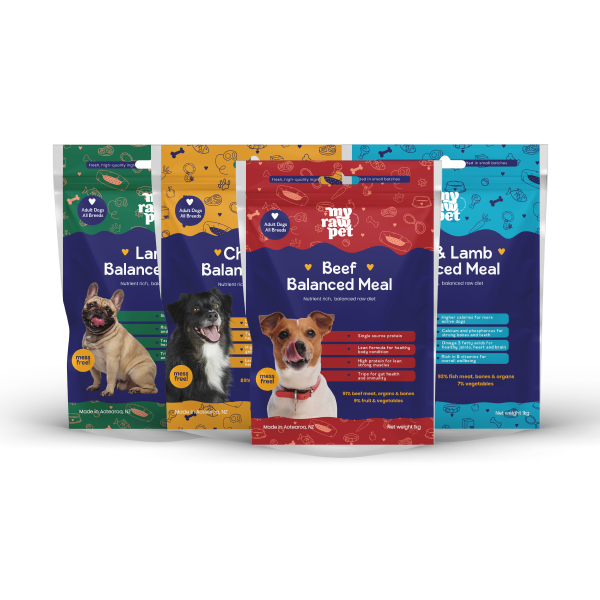 Balanced Meal Box